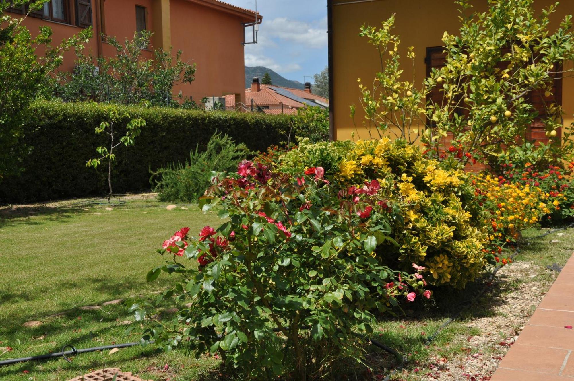 B&B Gassa D'Amante Capoterra Exteriör bild